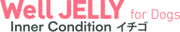 Well JELLY Inner Condition イチゴ